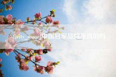 潮州中国冠军品牌是真的吗