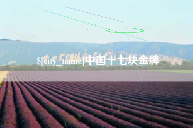 潮州中国十七块金牌