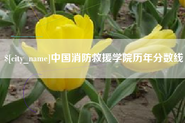 潮州中国消防救援学院历年分数线