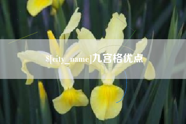 潮州九宫格优点