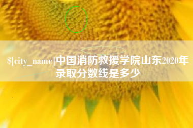 潮州中国消防救援学院山东2020年录取分数线是多少