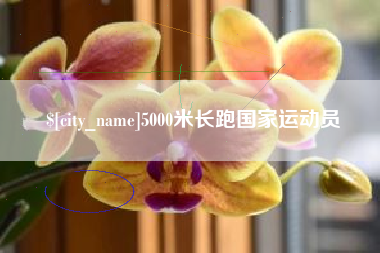 潮州5000米长跑国家运动员