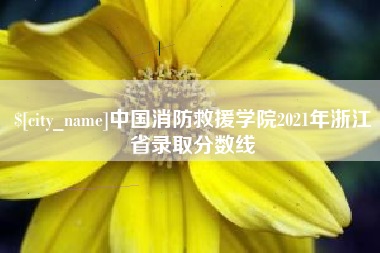 潮州中国消防救援学院2021年浙江省录取分数线