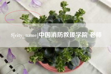 潮州中国消防救援学院 老师
