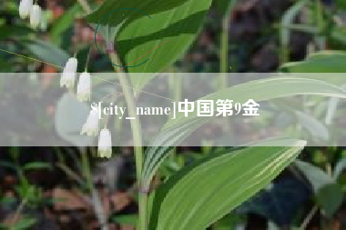 潮州中国第9金