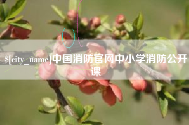 潮州中国消防官网中小学消防公开课
