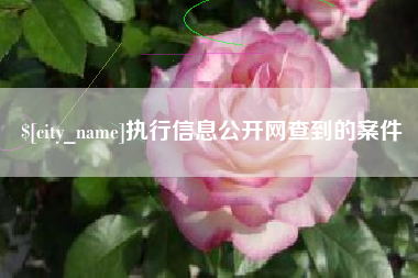 潮州执行信息公开网查到的案件