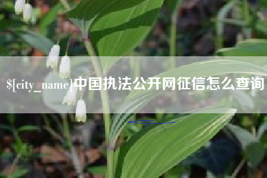 潮州中国执法公开网征信怎么查询