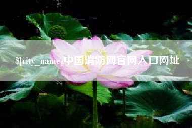 潮州中国消防网官网入口网址
