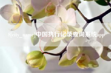 潮州中国执行记录查询系统app
