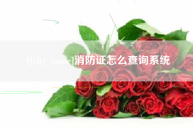 潮州消防证怎么查询系统