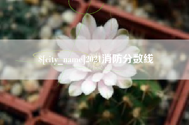 潮州2021消防分数线
