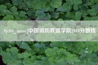 潮州中国消防救援学院2018分数线