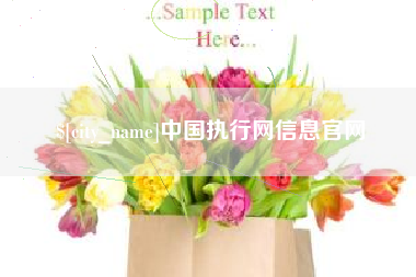 潮州中国执行网信息官网