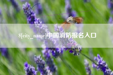 潮州中国消防报名入口