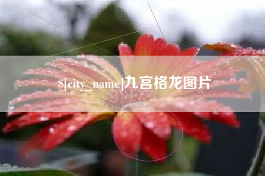 潮州九宫格龙图片