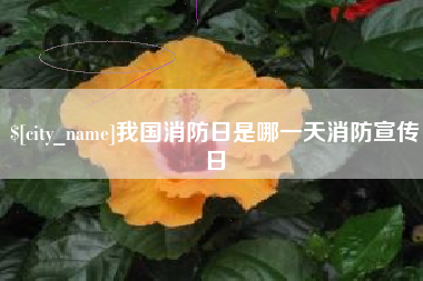 潮州我国消防日是哪一天消防宣传日