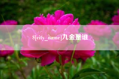 潮州九金是谁