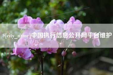 潮州中国执行信息公开网平台维护
