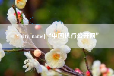 潮州“中国执行公开网”