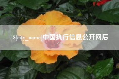 潮州中国执行信息公开网后