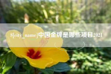 潮州中国金牌是哪些项目2021
