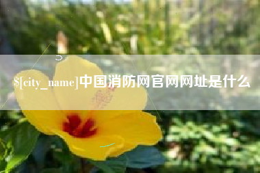 潮州中国消防网官网网址是什么