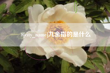 潮州九金指的是什么