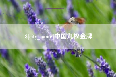 潮州中国九枚金牌