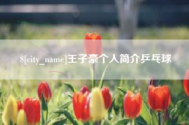 潮州王子豪个人简介乒乓球
