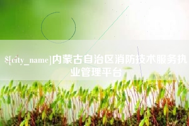 潮州内蒙古自治区消防技术服务执业管理平台