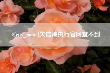 潮州失信被执行官网查不到