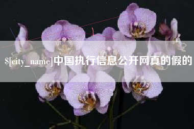 潮州中国执行信息公开网真的假的