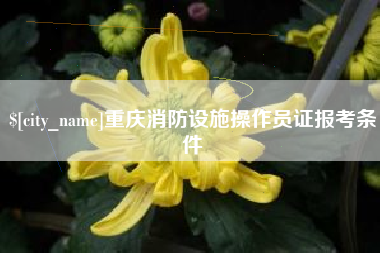 潮州重庆消防设施操作员证报考条件