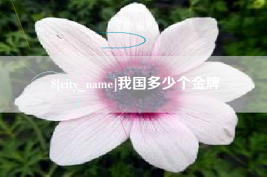 潮州我国多少个金牌