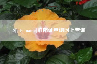 潮州消防证查询网上查询