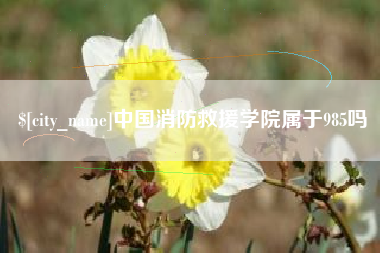 潮州中国消防救援学院属于985吗