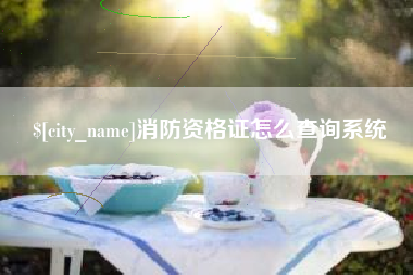 潮州消防资格证怎么查询系统