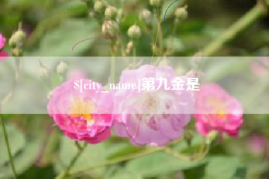 潮州第九金是