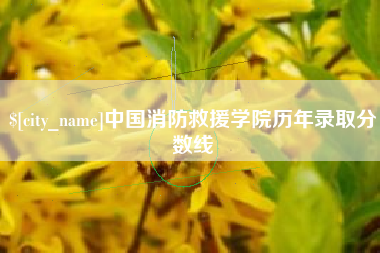 潮州中国消防救援学院历年录取分数线