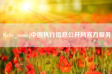 潮州中国执行信息公开网官方服务