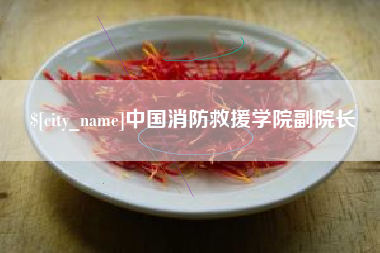 潮州中国消防救援学院副院长