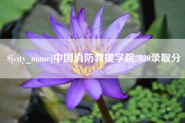 潮州中国消防救援学院2020录取分
