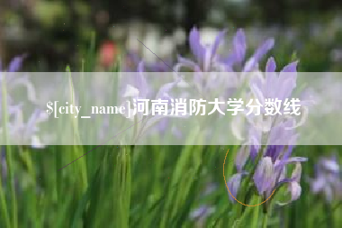潮州河南消防大学分数线