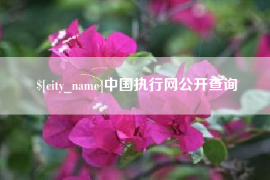 潮州中国执行网公开查询