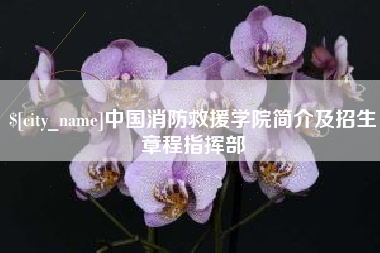 潮州中国消防救援学院简介及招生章程指挥部