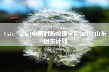 潮州中国消防救援学院2021年山东招生计划