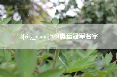 潮州2024奥运冠军名字