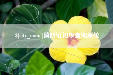 潮州消防证初级查询系统