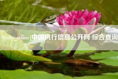潮州中国执行信息公开网 综合查询